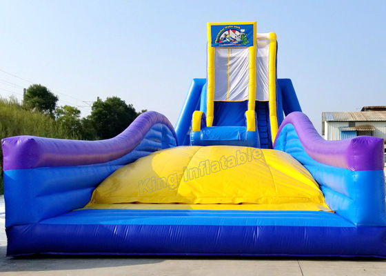 Blue / Yellow Inflatable Water Slide Games Commercial 12 * 4m hippo slide For Beach