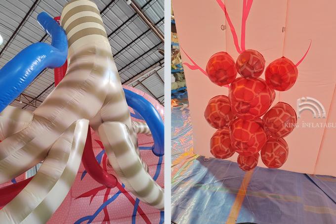 Custom Giant Inflatable Lungs Medical Event Theme Advertising Human ...